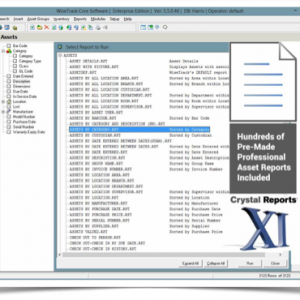 Asset Management Reports